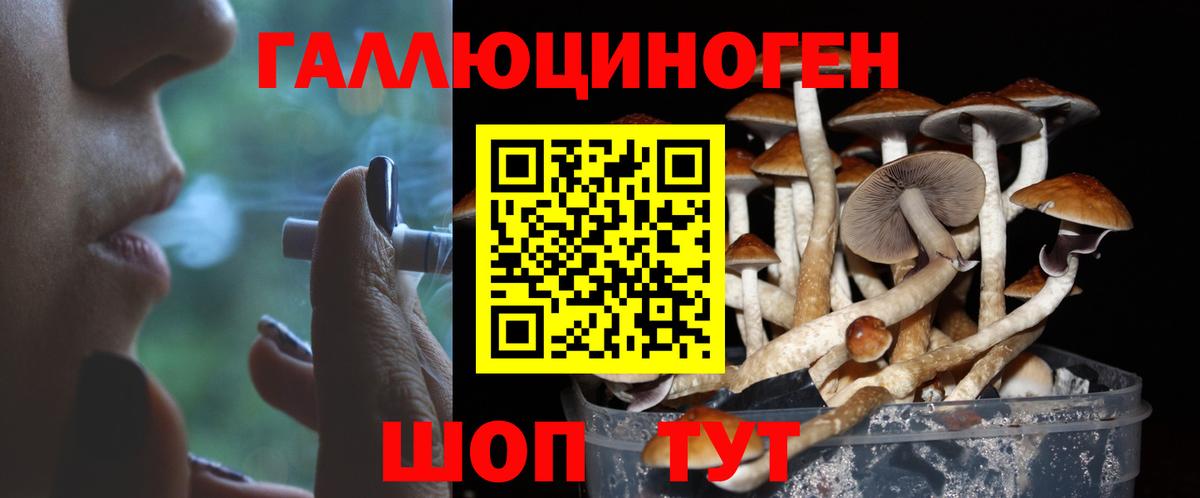 Псилоцибиновые грибы GOLDEN TEACHER  Псилоцибиновые грибы ЛСД  Вход с VPN  Санкт-Петербург 