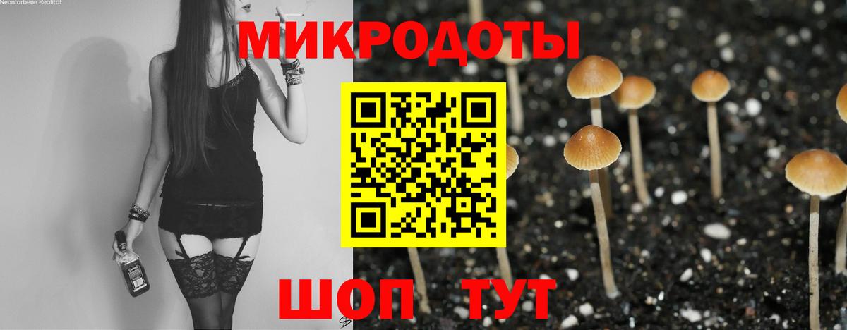Псилоцибиновые грибы мицелий Санкт-Петербург